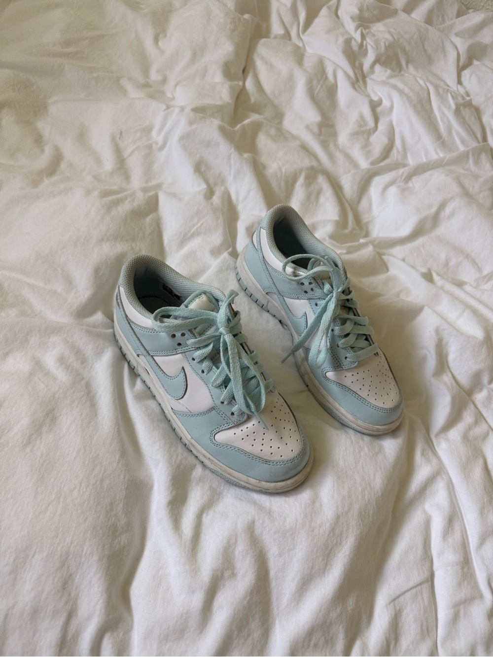 Nike Dunks | Low Top